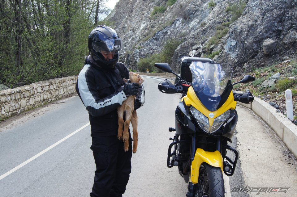 Bike Photo 2386584