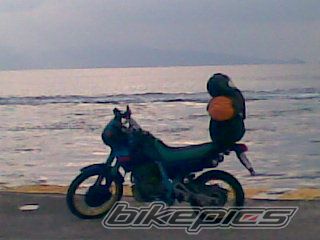 Photo 2386589