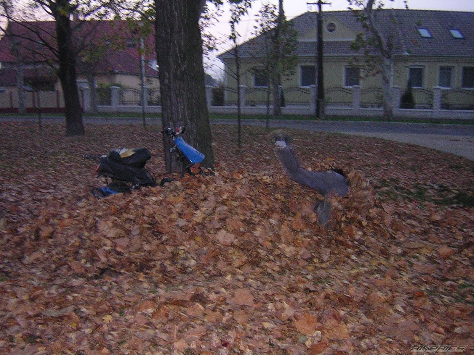 Bike Photo 238661