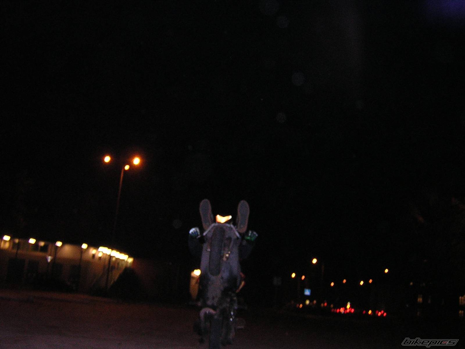Photo 238665