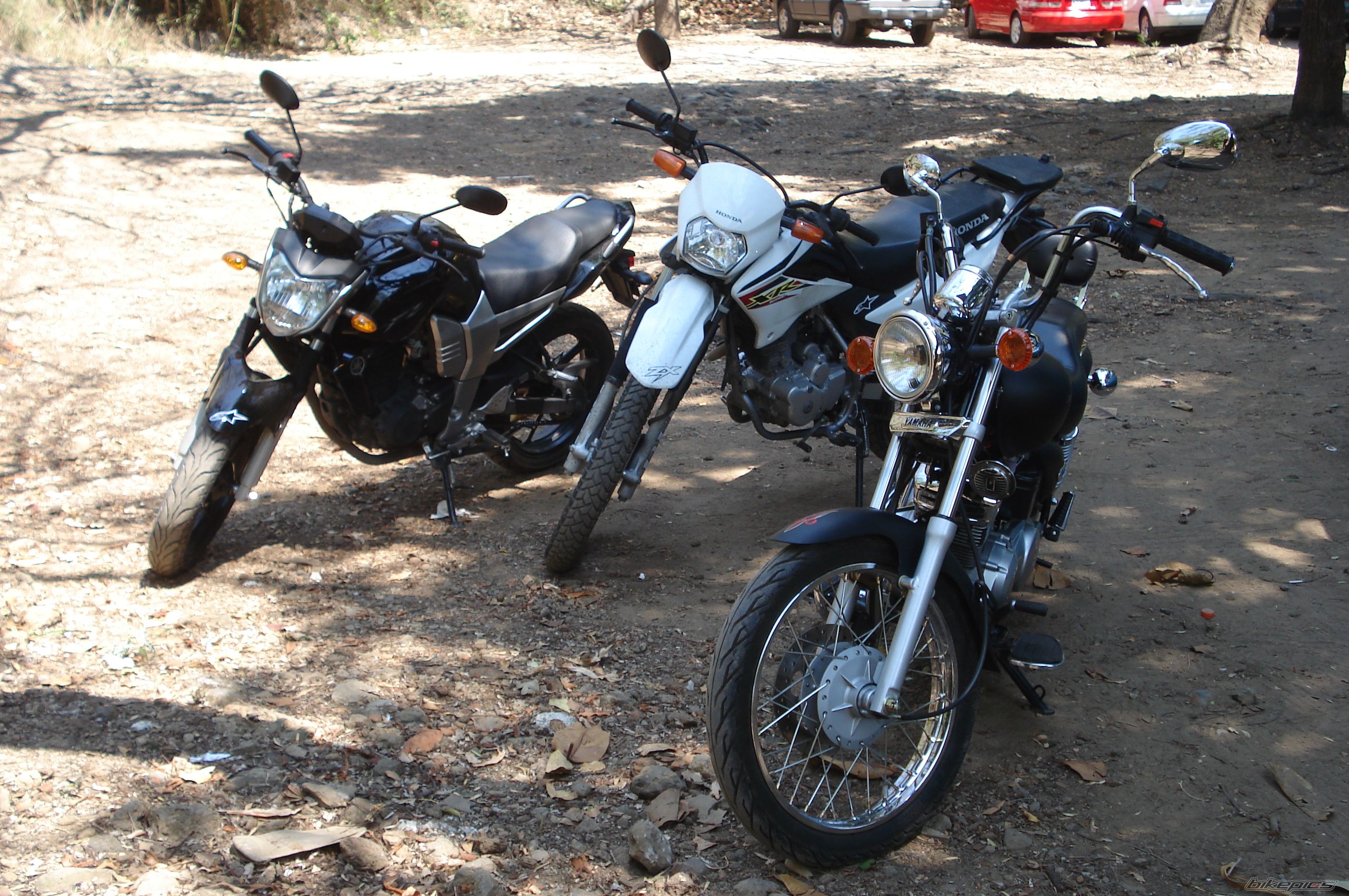 Photo 2386672