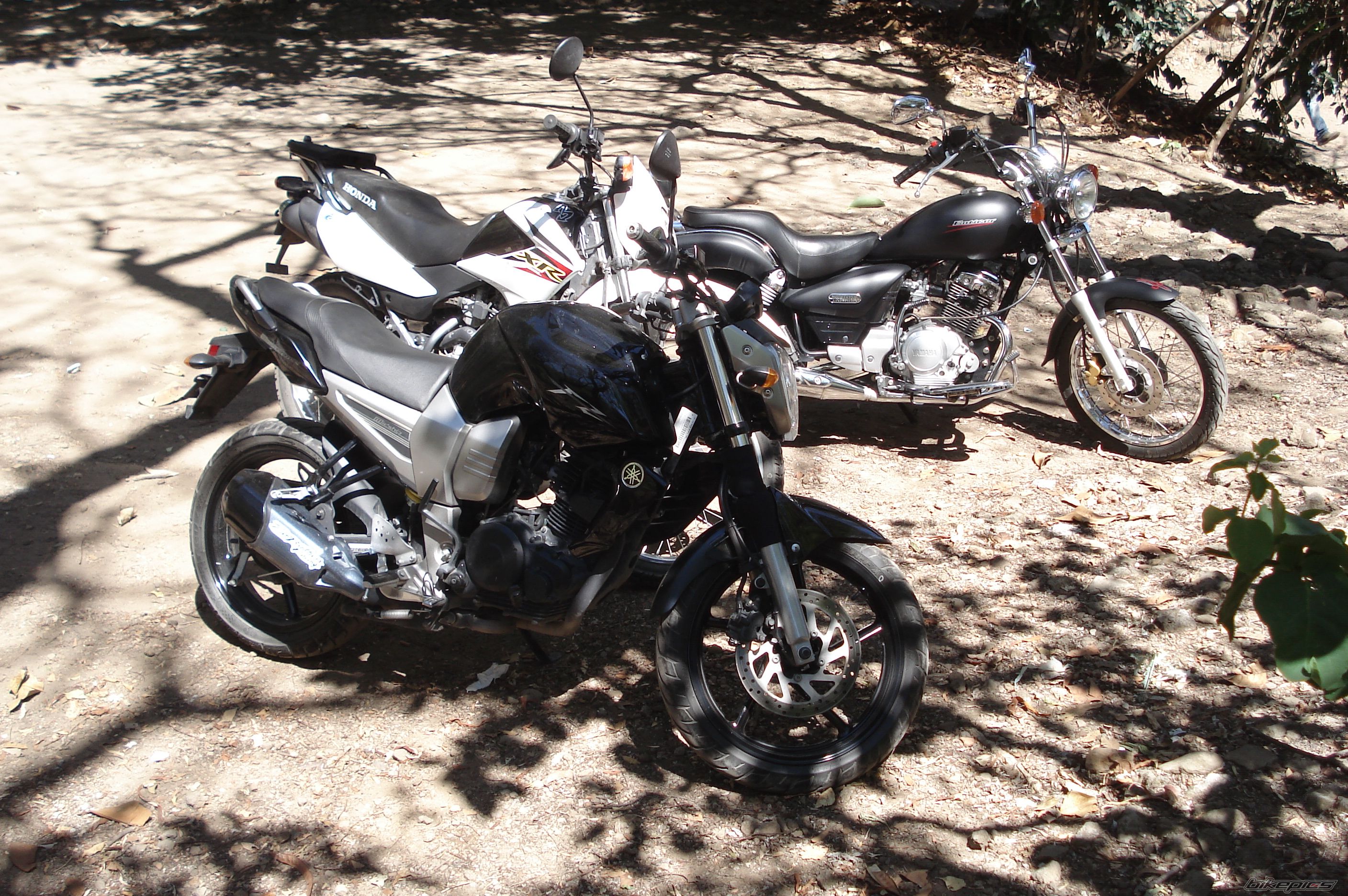 Photo 2386674