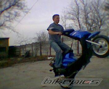 Photo 238682