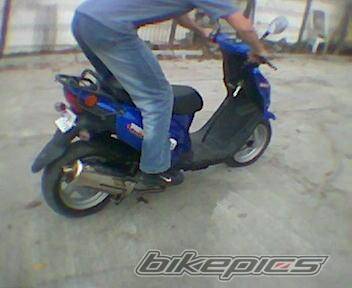 Photo 238684