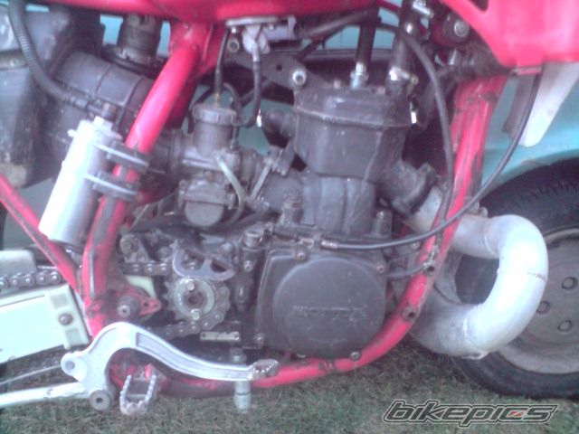 Photo 2386848