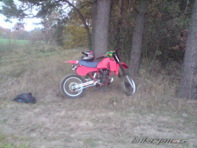 Bike Photo 2386850