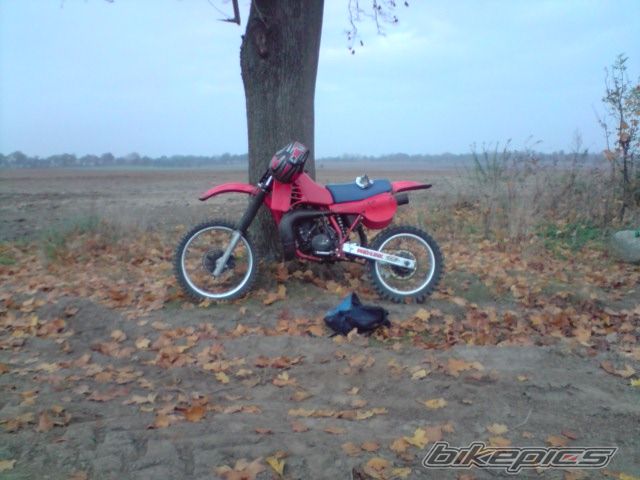 Photo 2386851