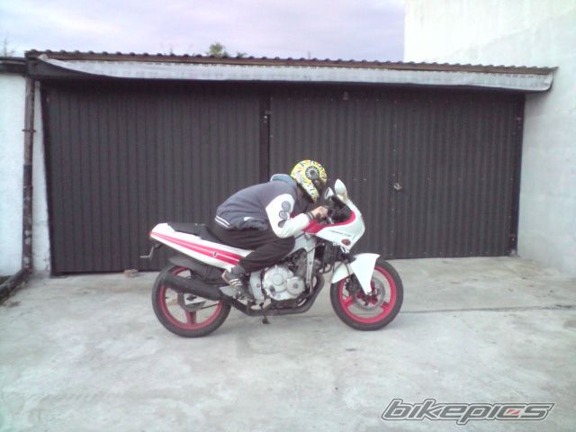 Bike Photo 2386858