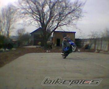 Photo 238686