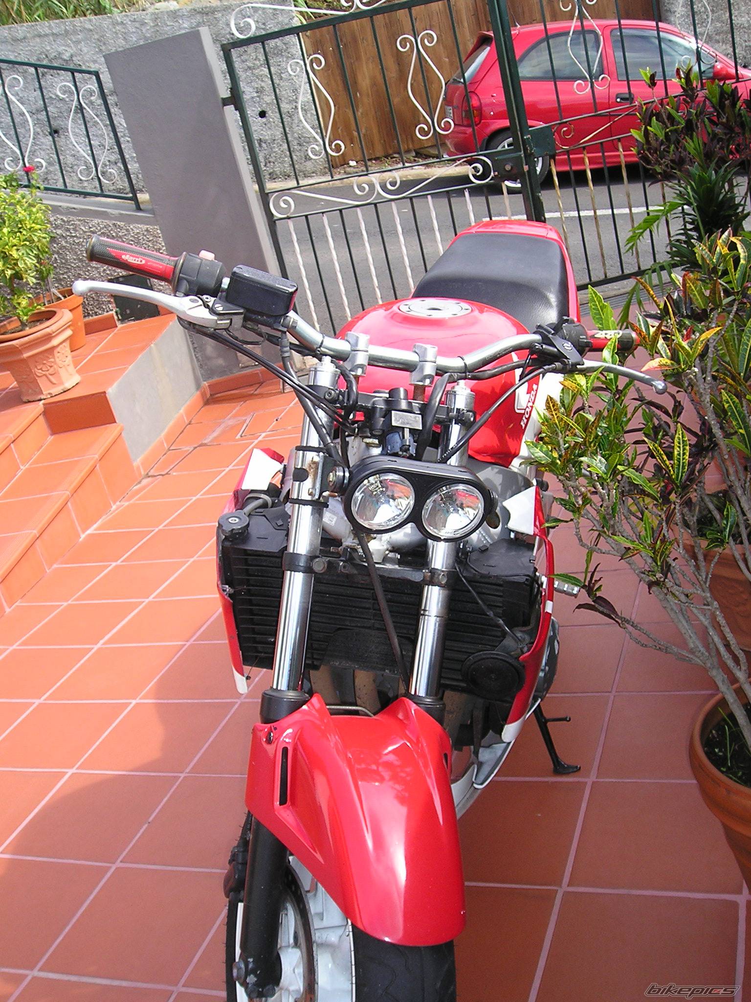 Photo 238693