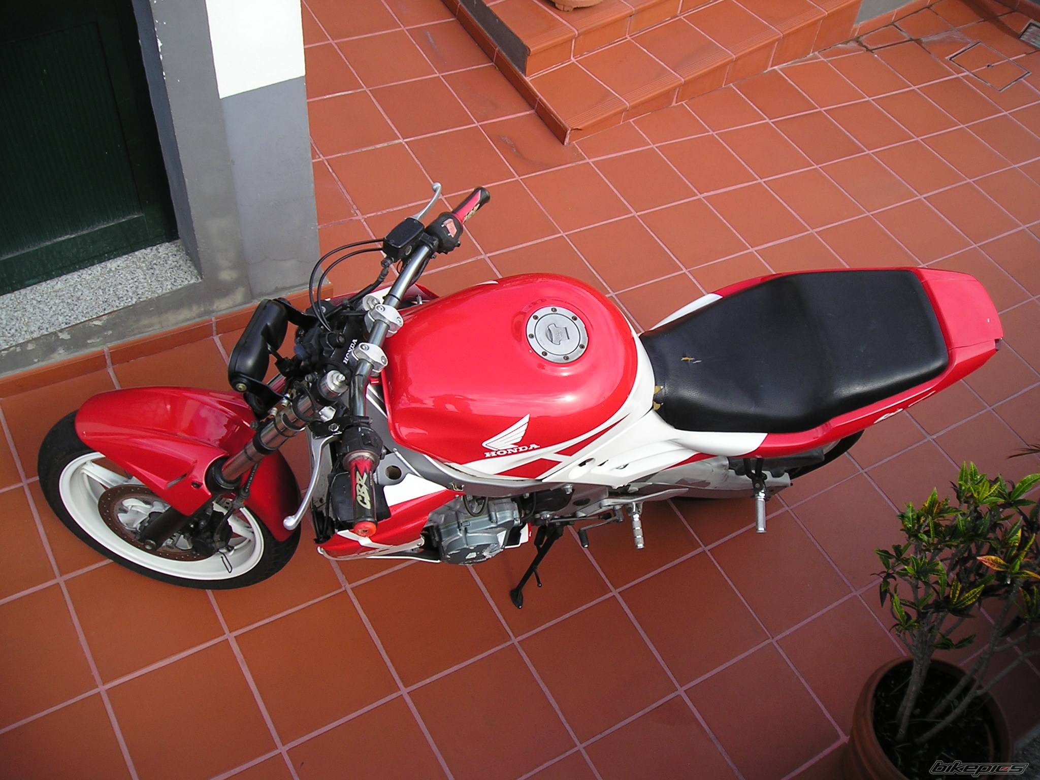 Photo 238694