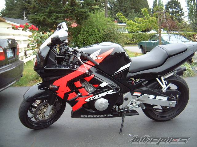 Photo 2387