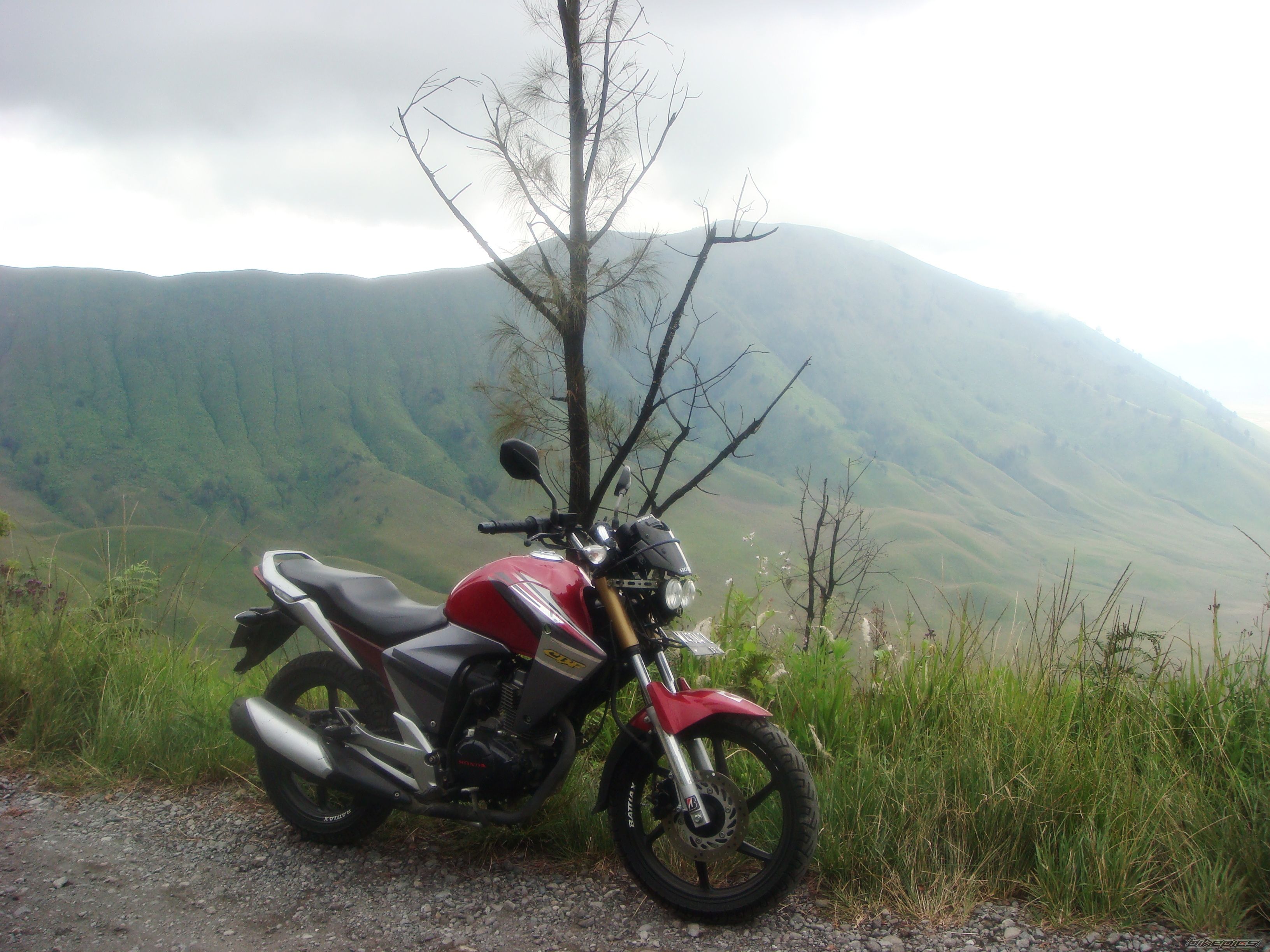 Photo 2387001
