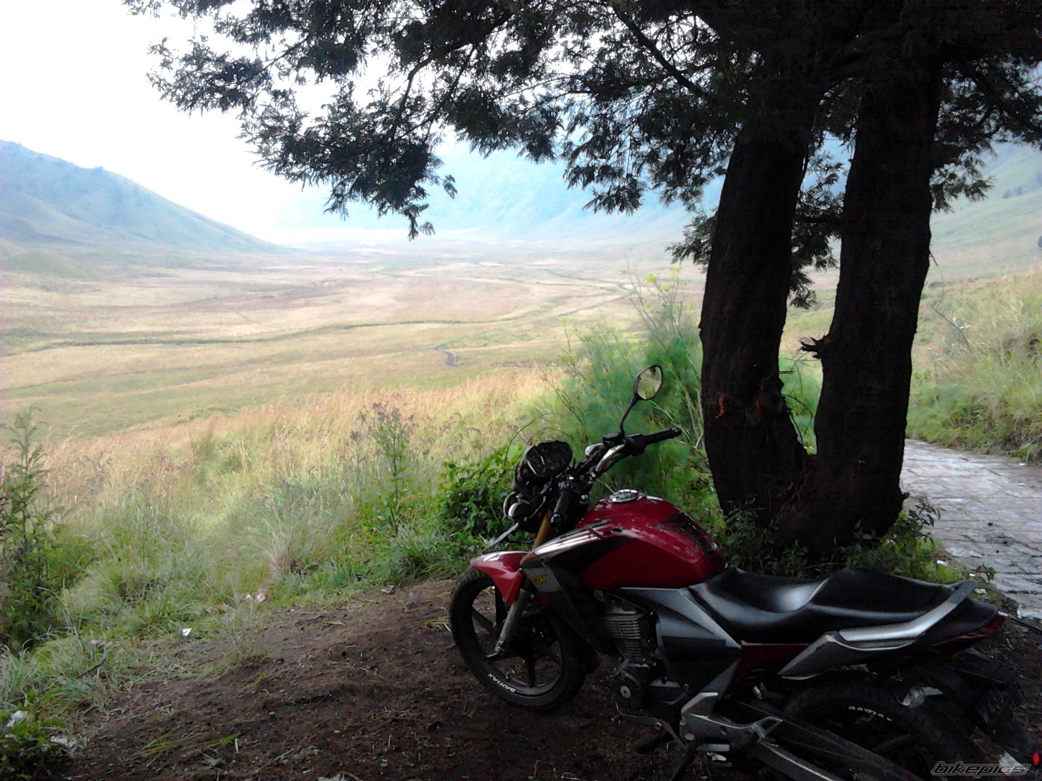 Bike Photo 2387005