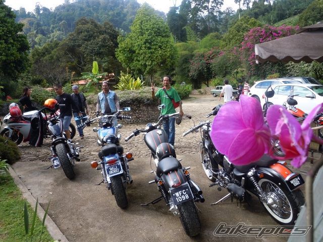 Photo 2387029