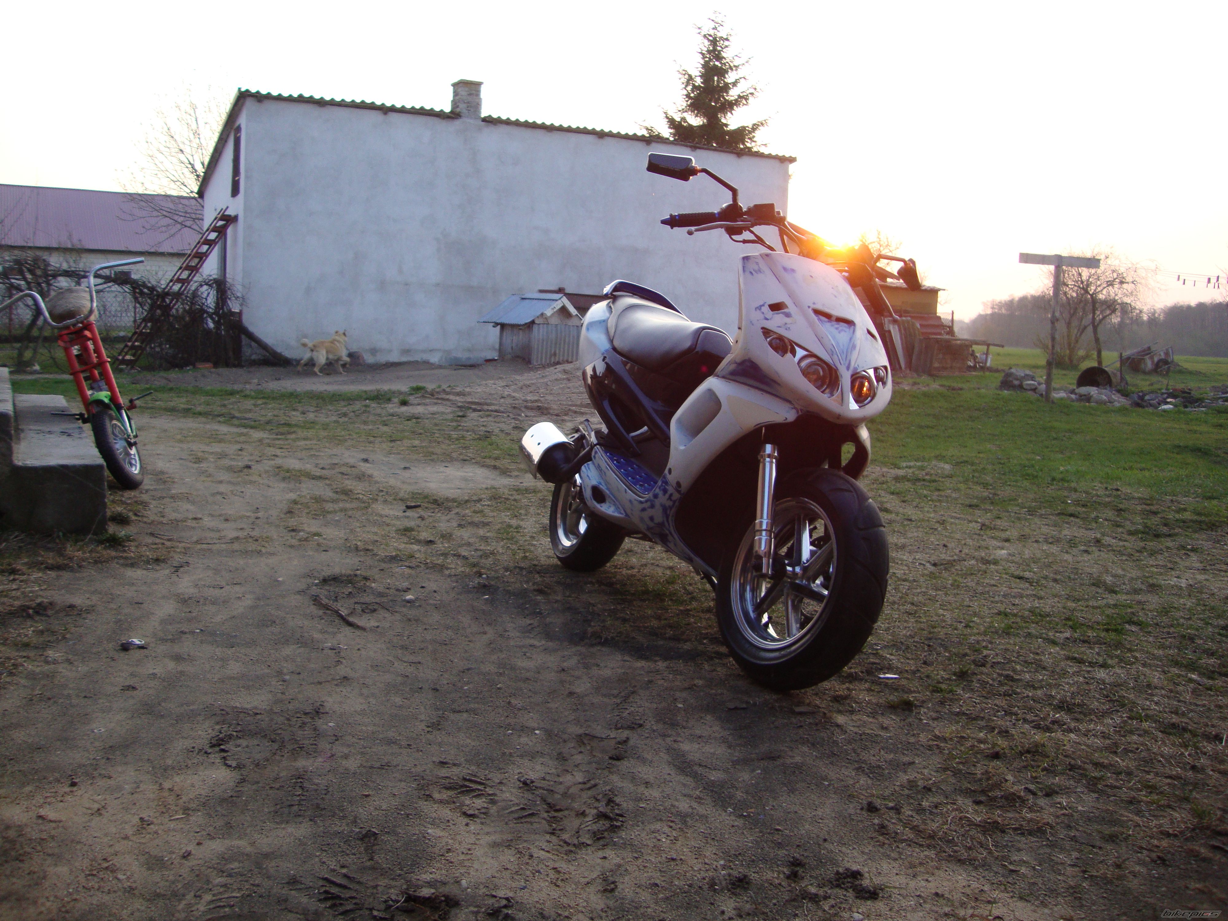 Photo 2387171