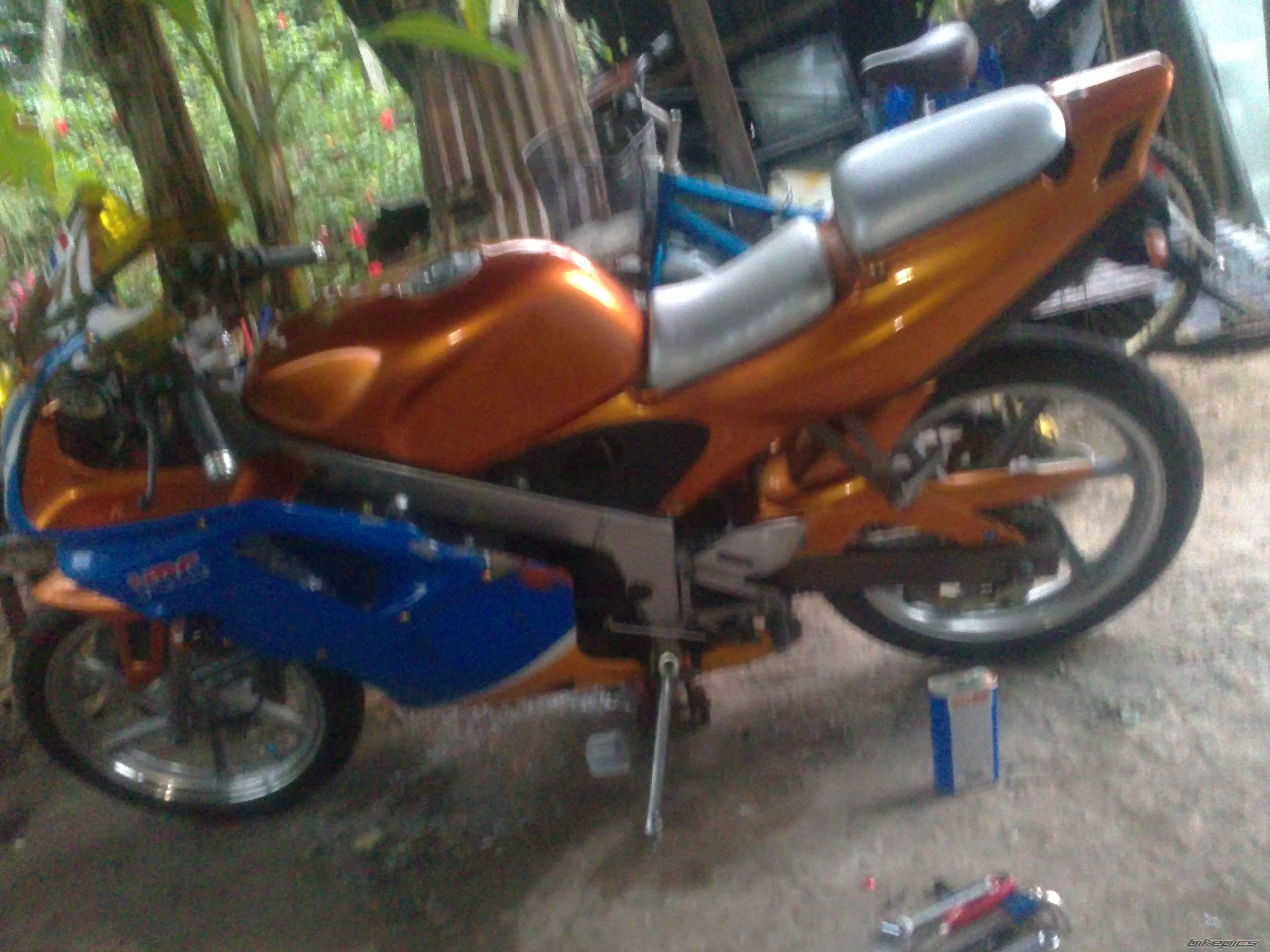 Photo 2387218