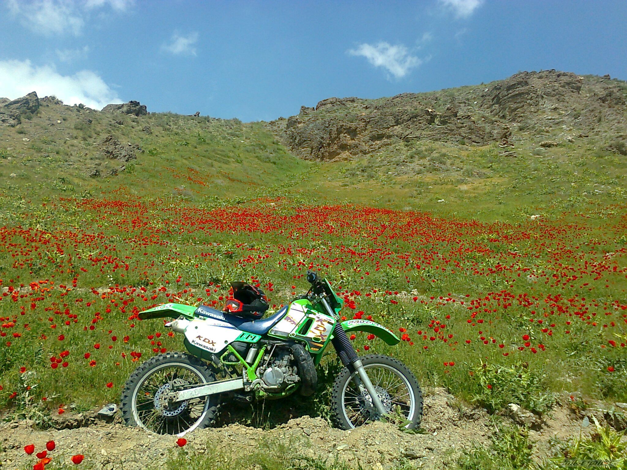Photo 2387238