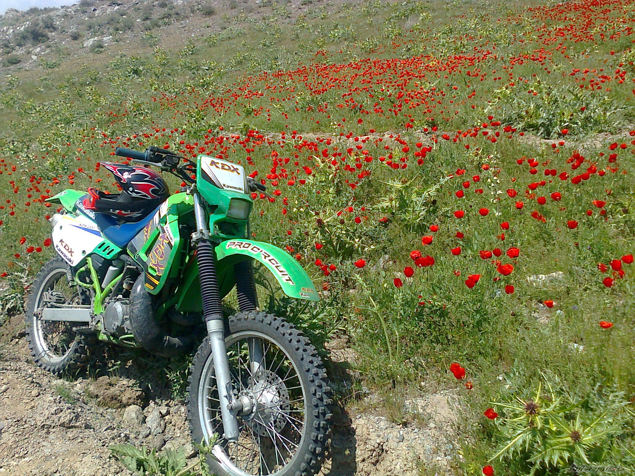 Photo 2387242