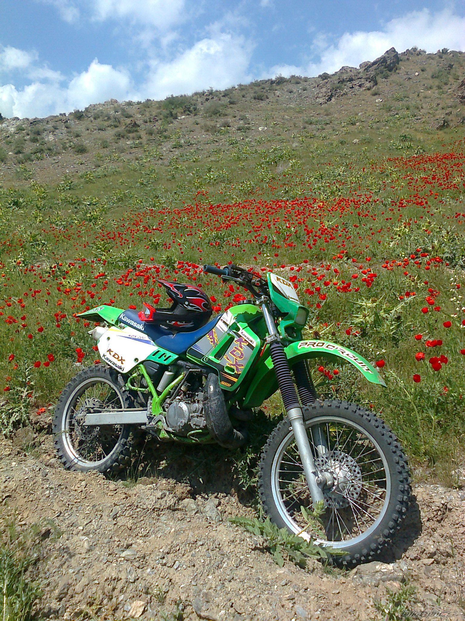 Photo 2387247