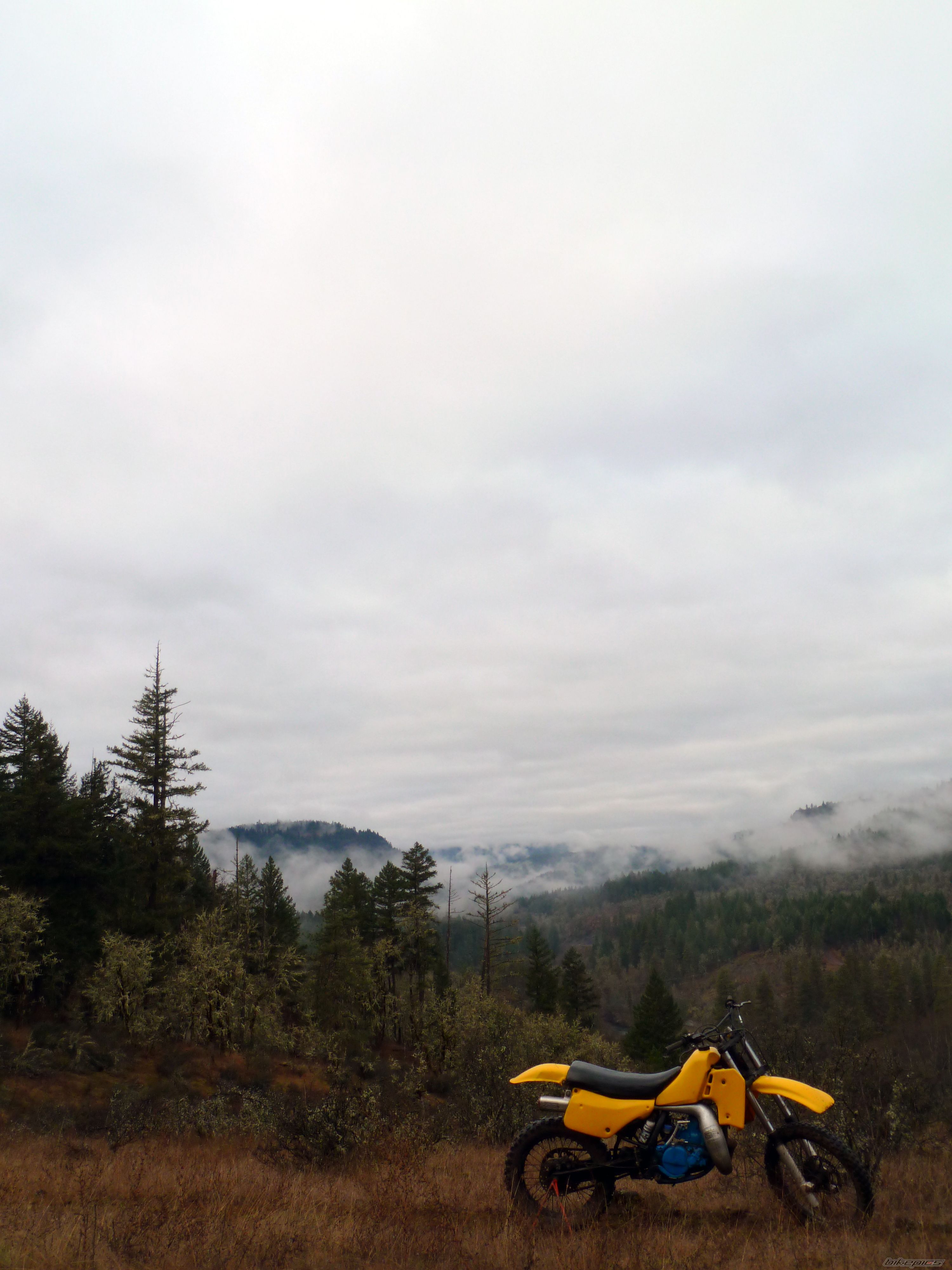 Photo 2387318