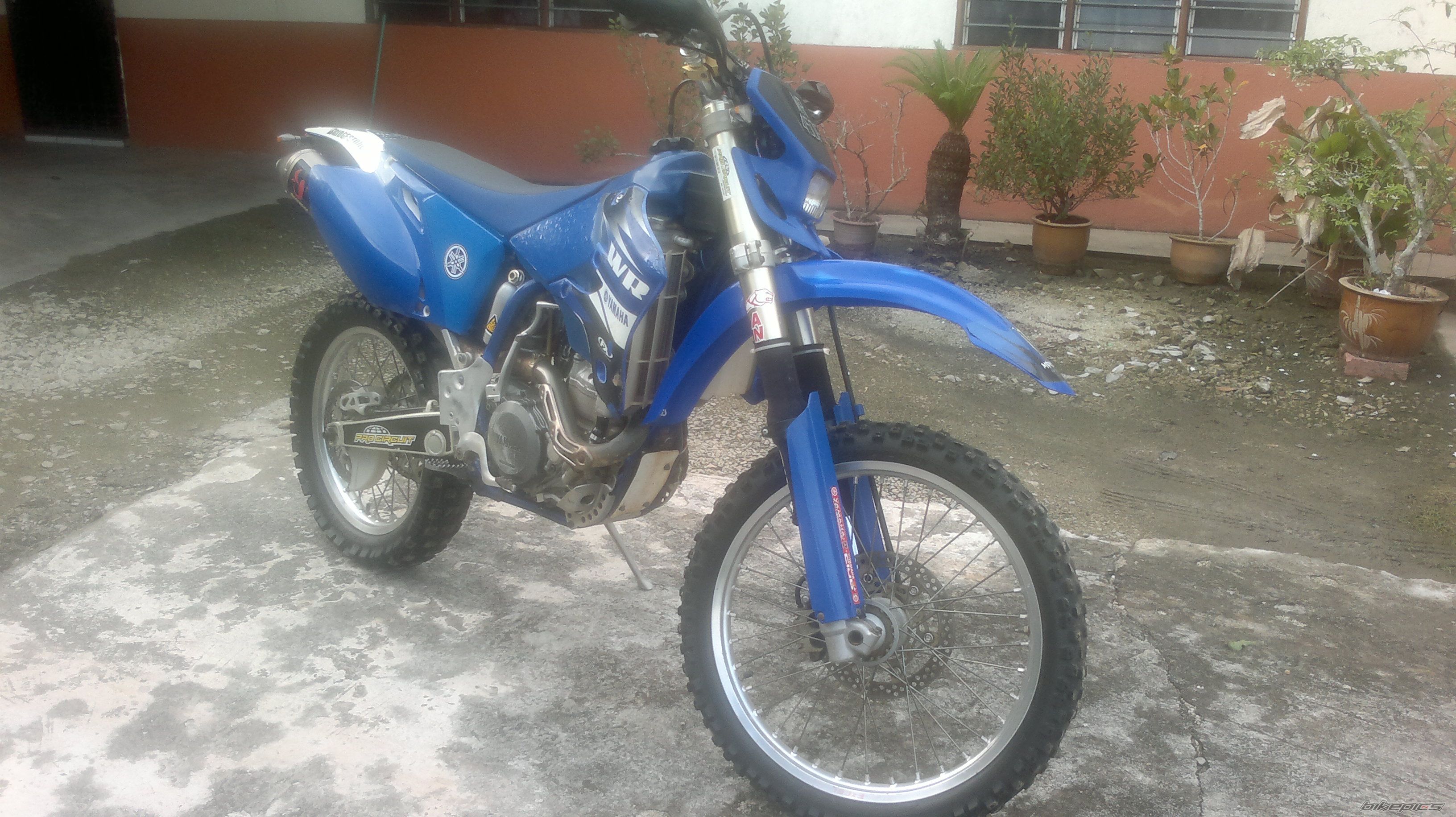 Photo 2387394
