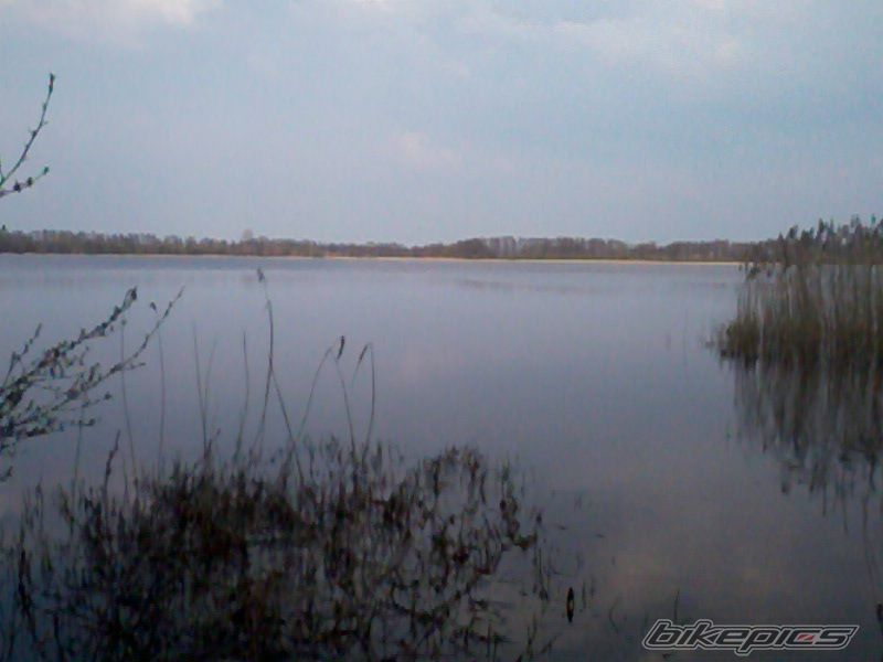 Photo 2387410