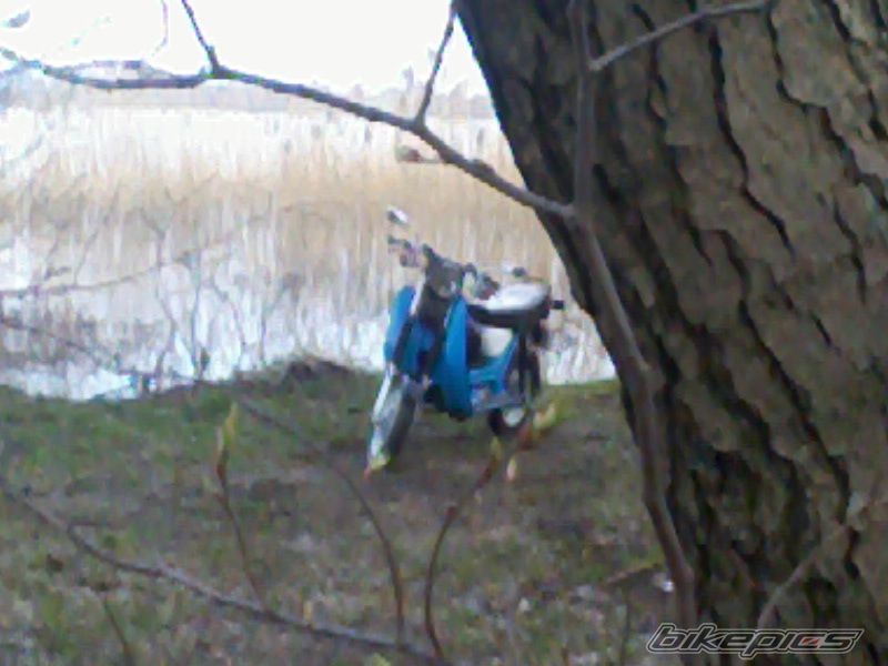 Photo 2387419