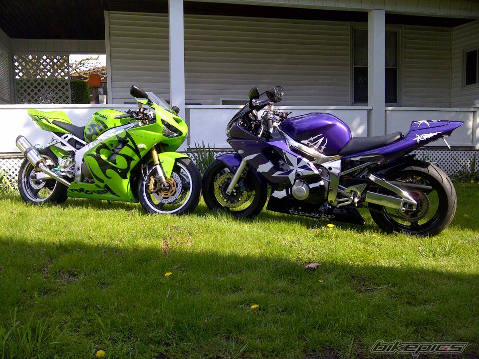 Photo 2387535