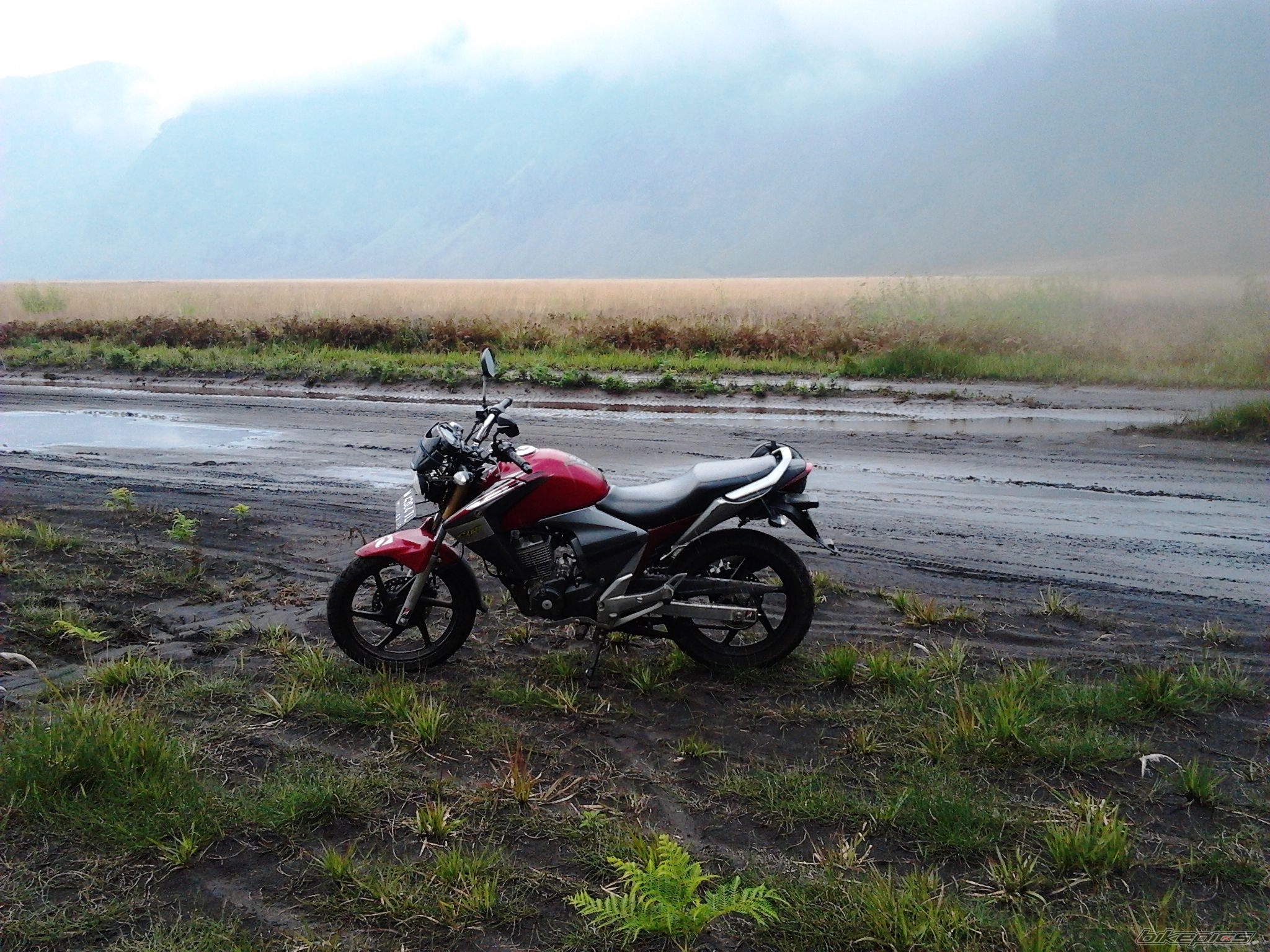 Photo 2387548