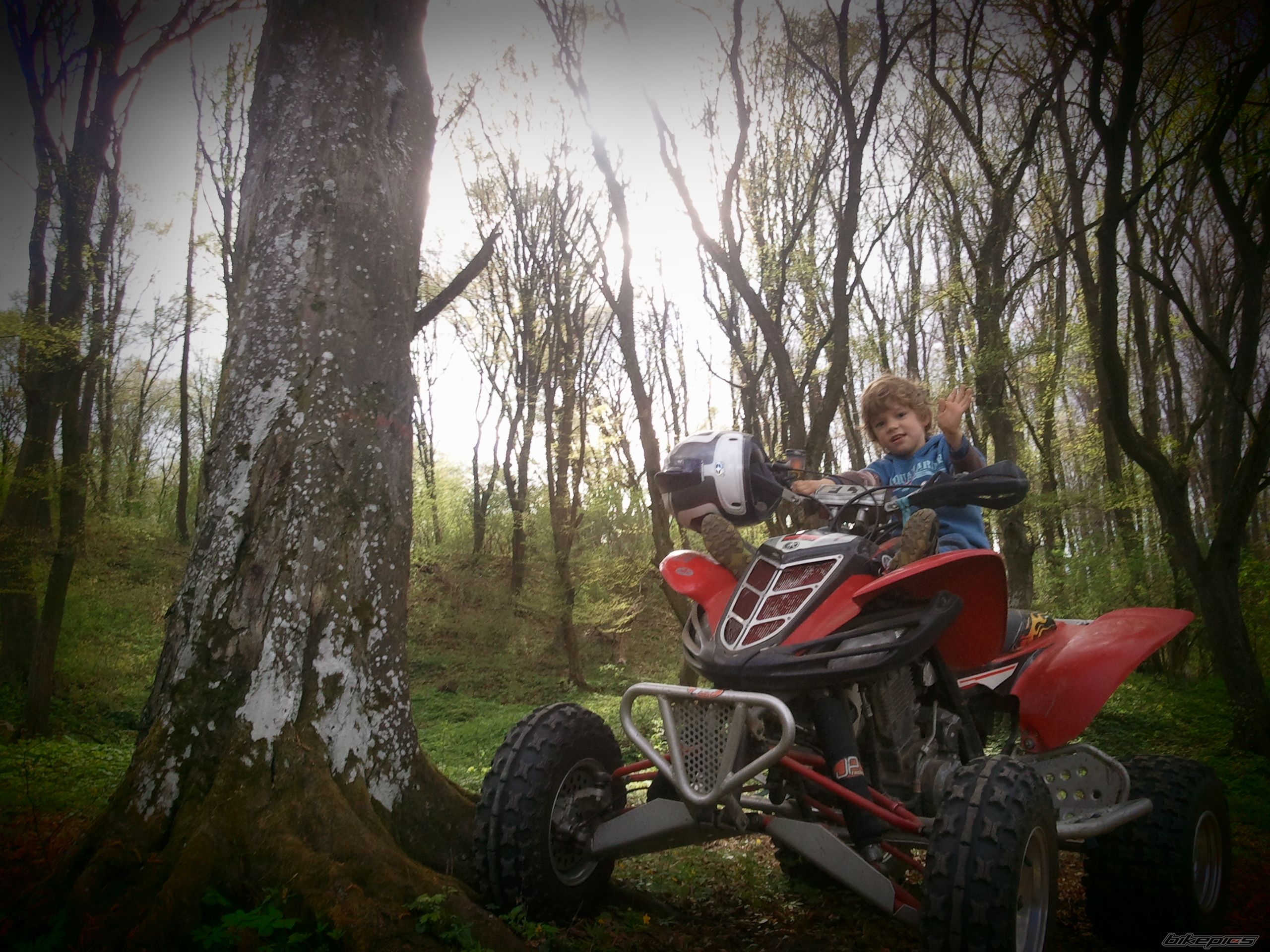 Photo 2387732