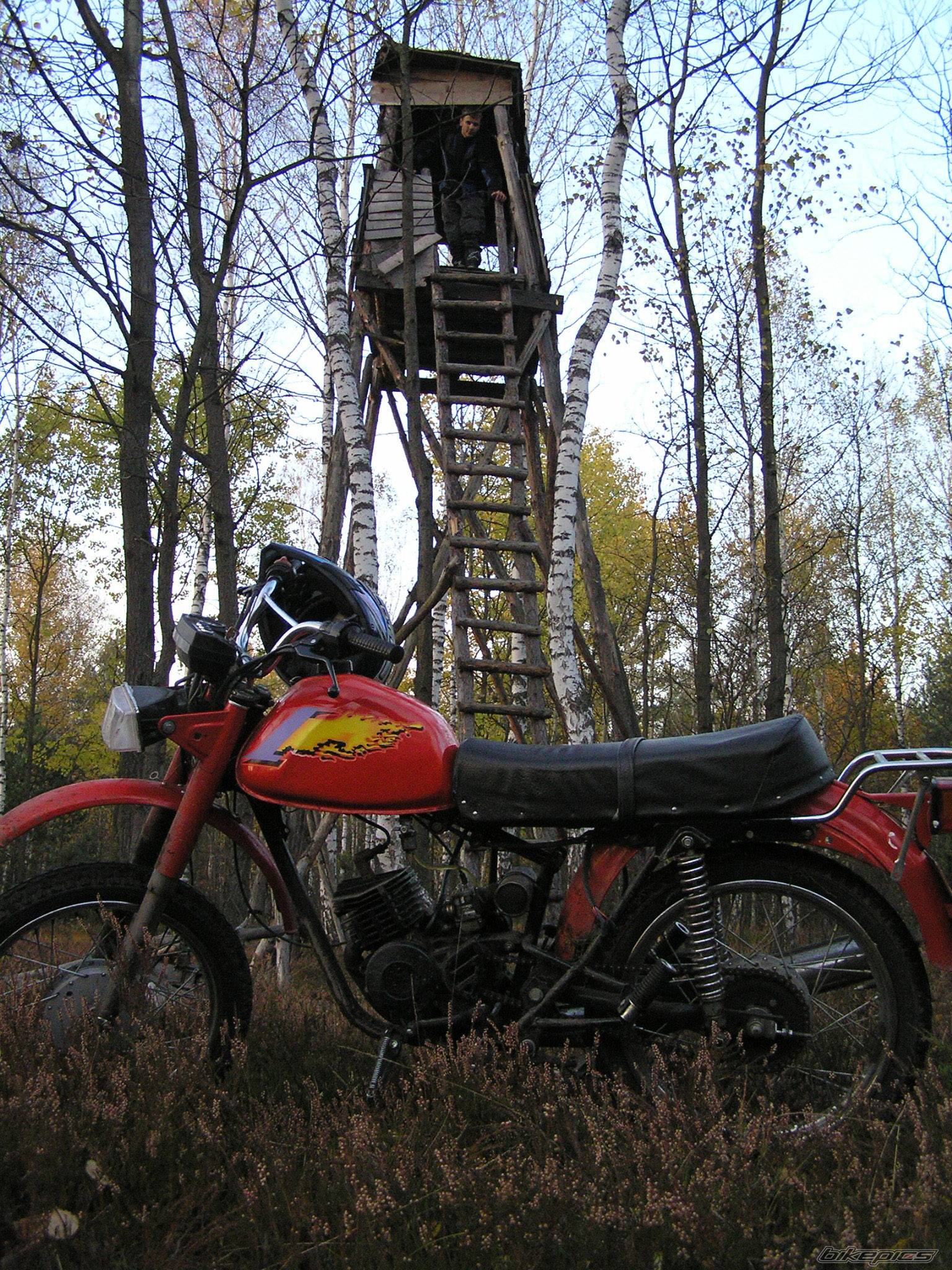 Photo 238778