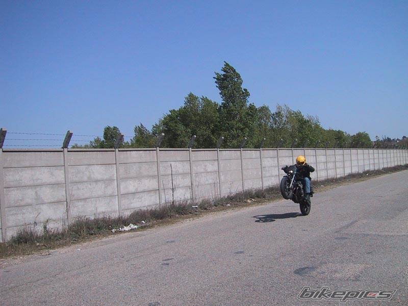 Photo 23878