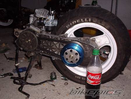Photo 238785
