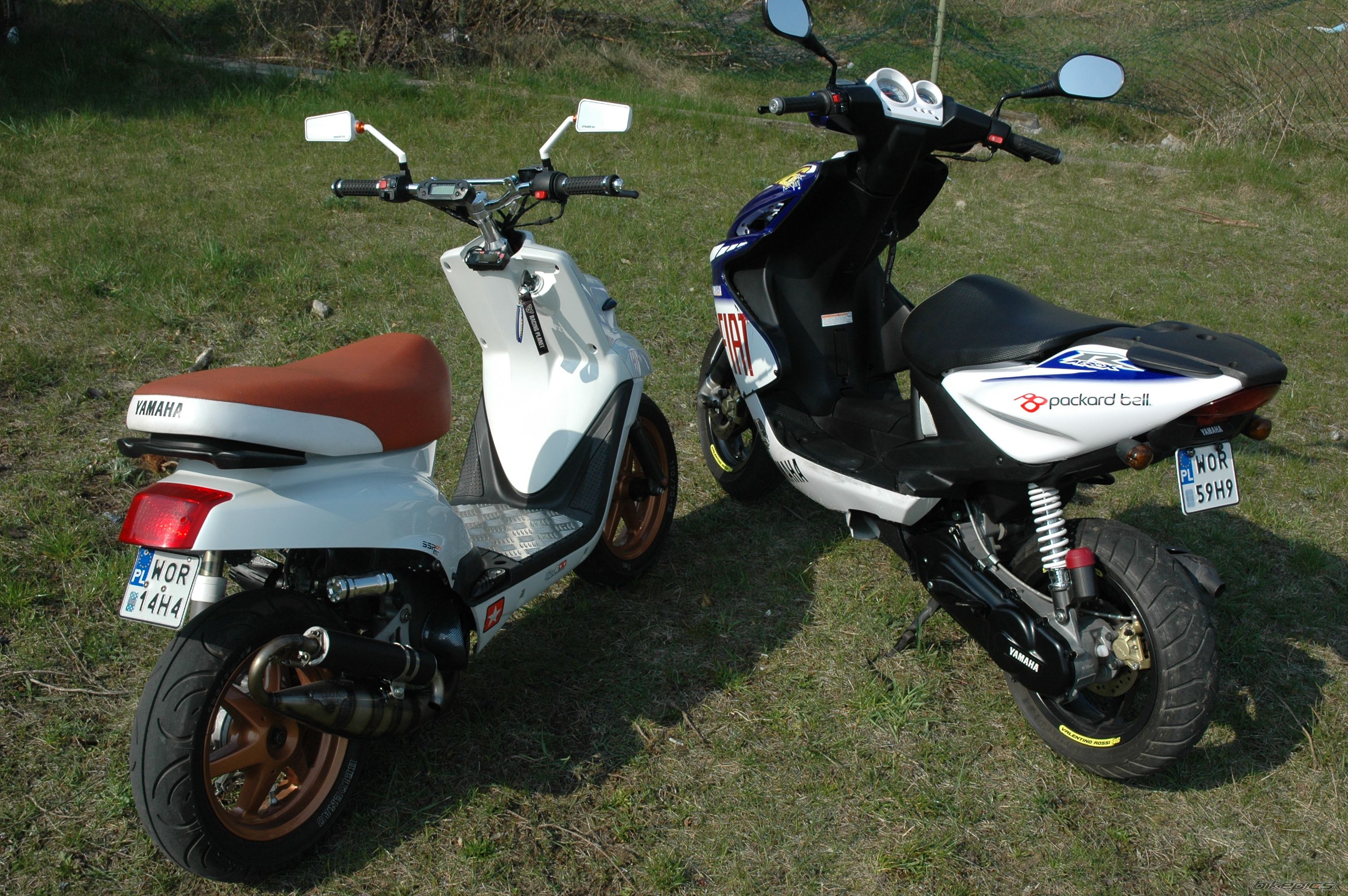 Photo 2387863