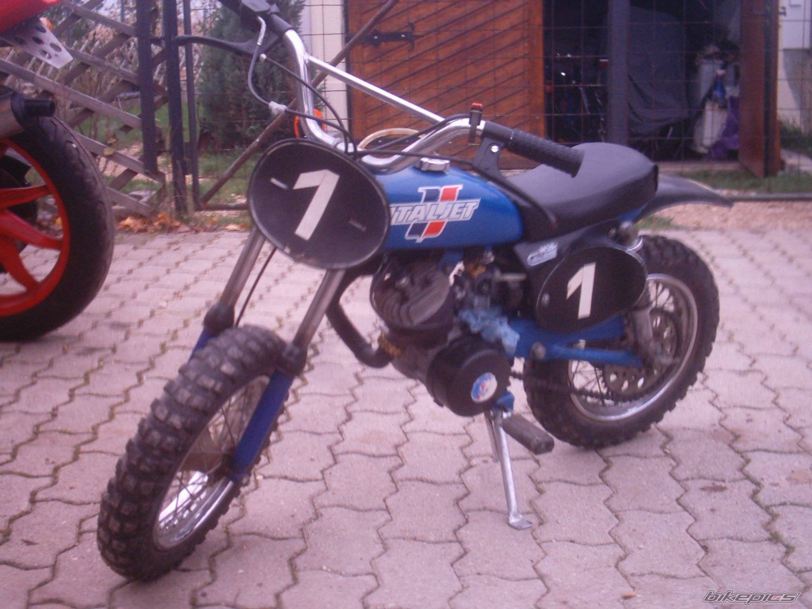 Photo 238788