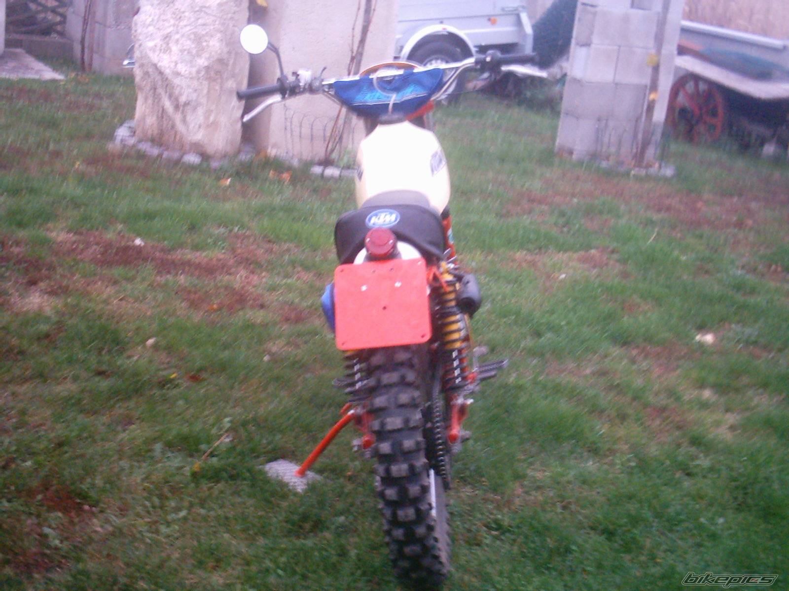 Photo 238795