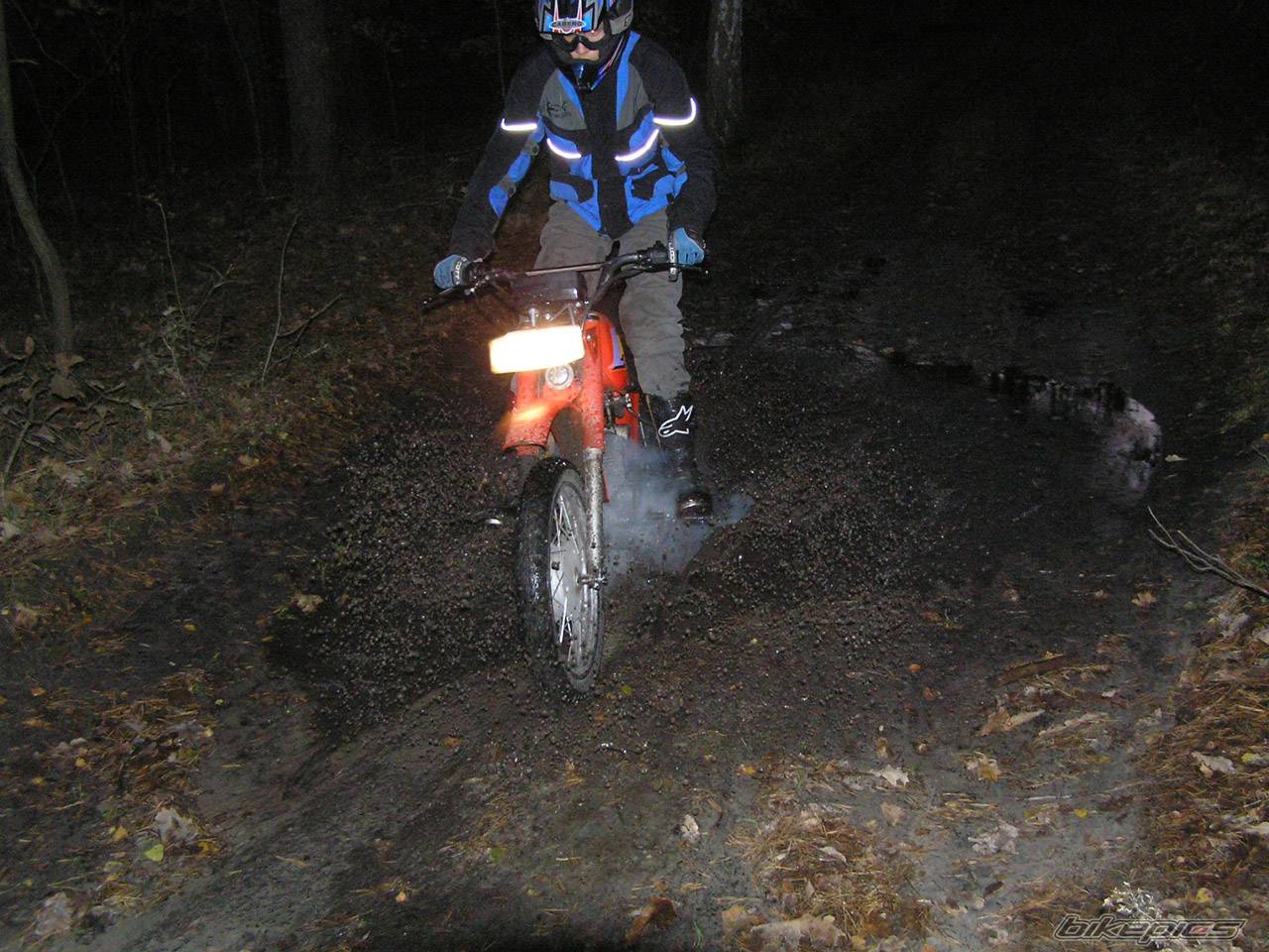 Photo 238796