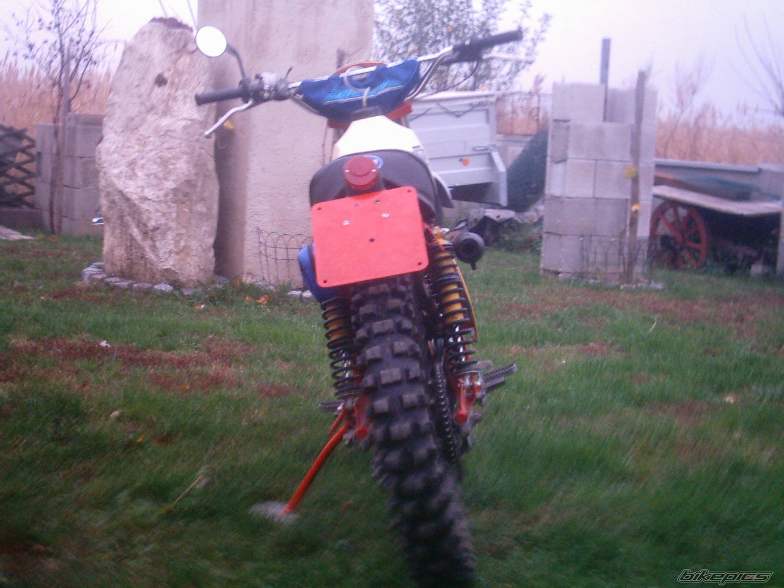 Photo 238797