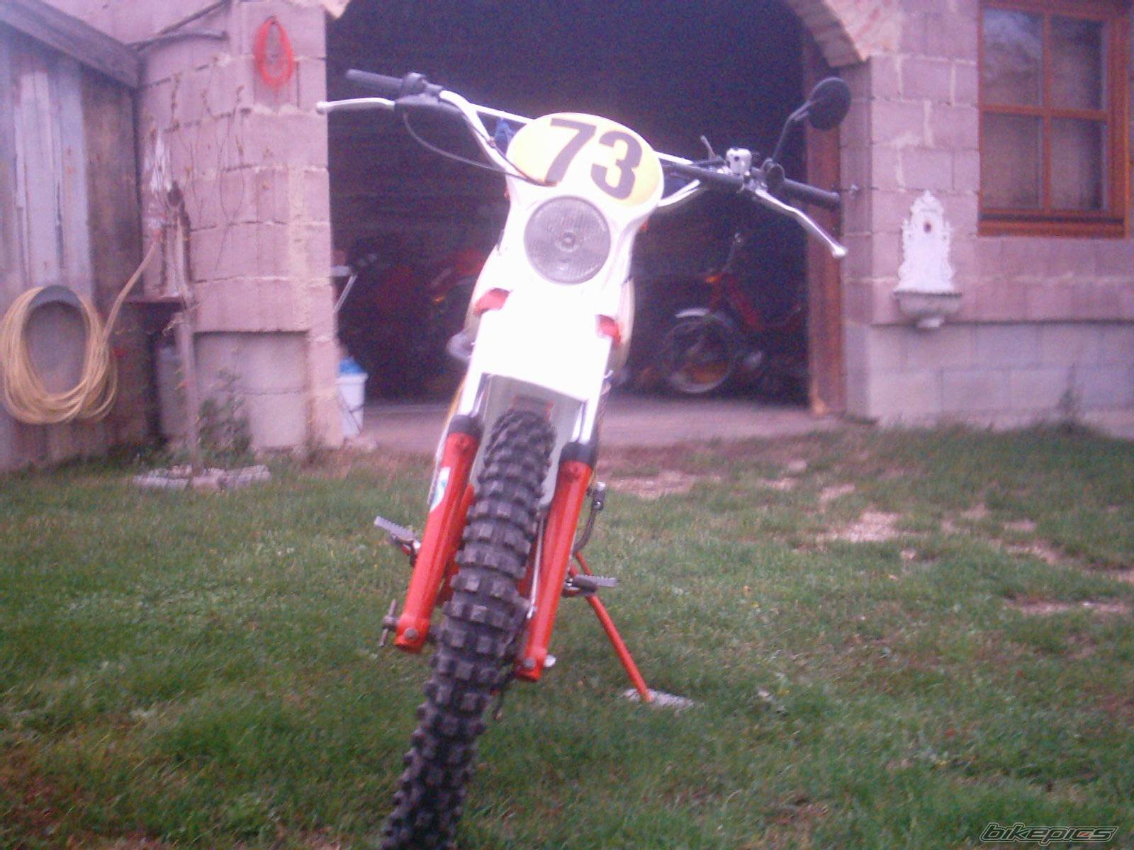 Photo 238798