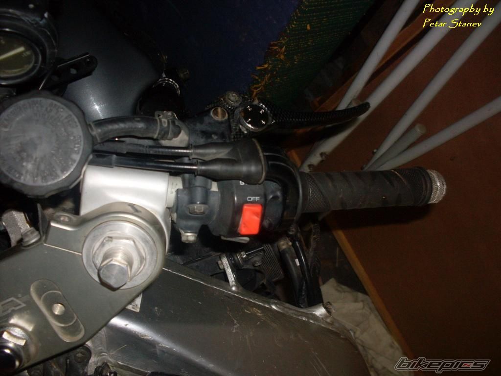 Photo 2388045