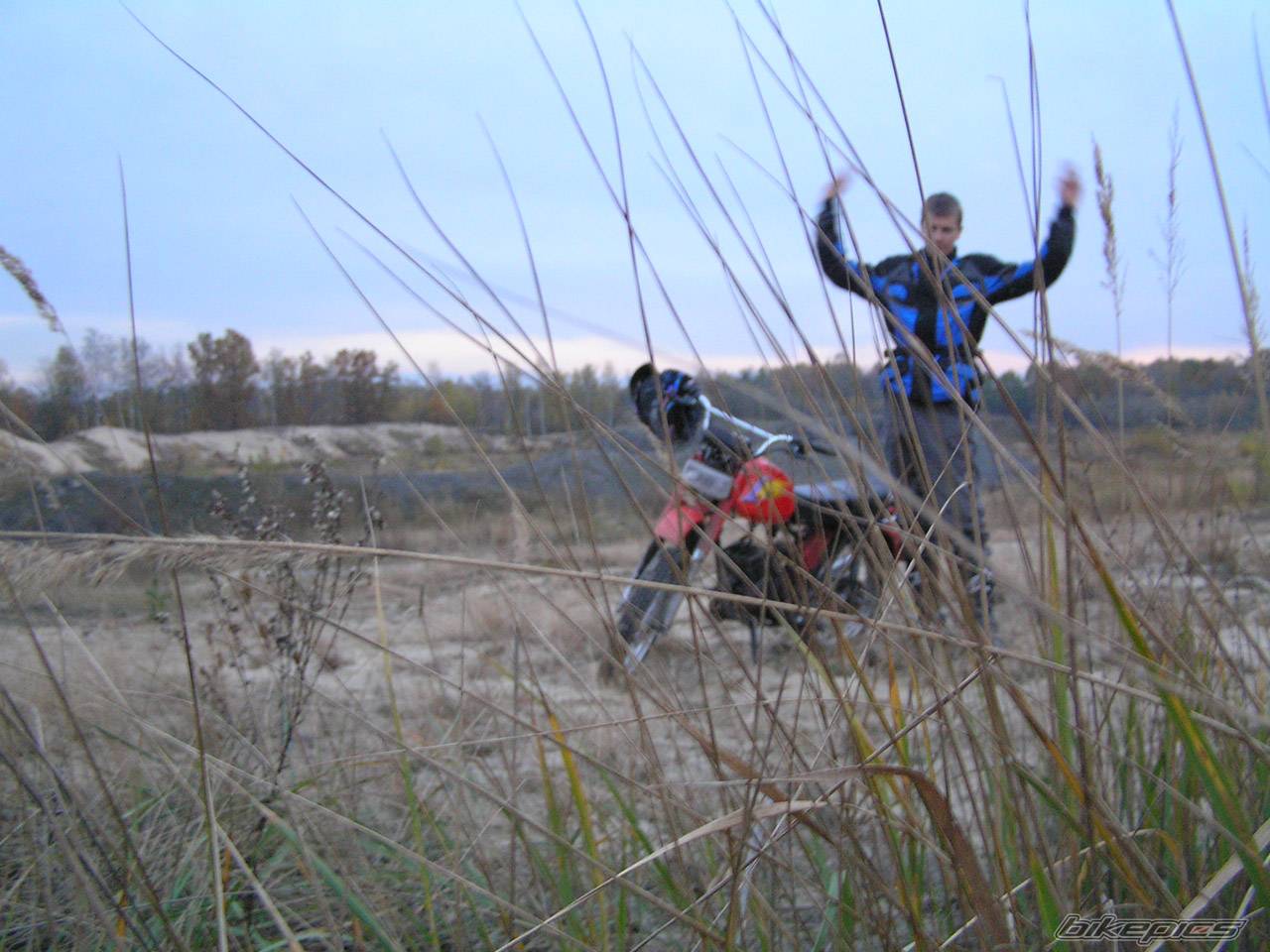 Photo 238807