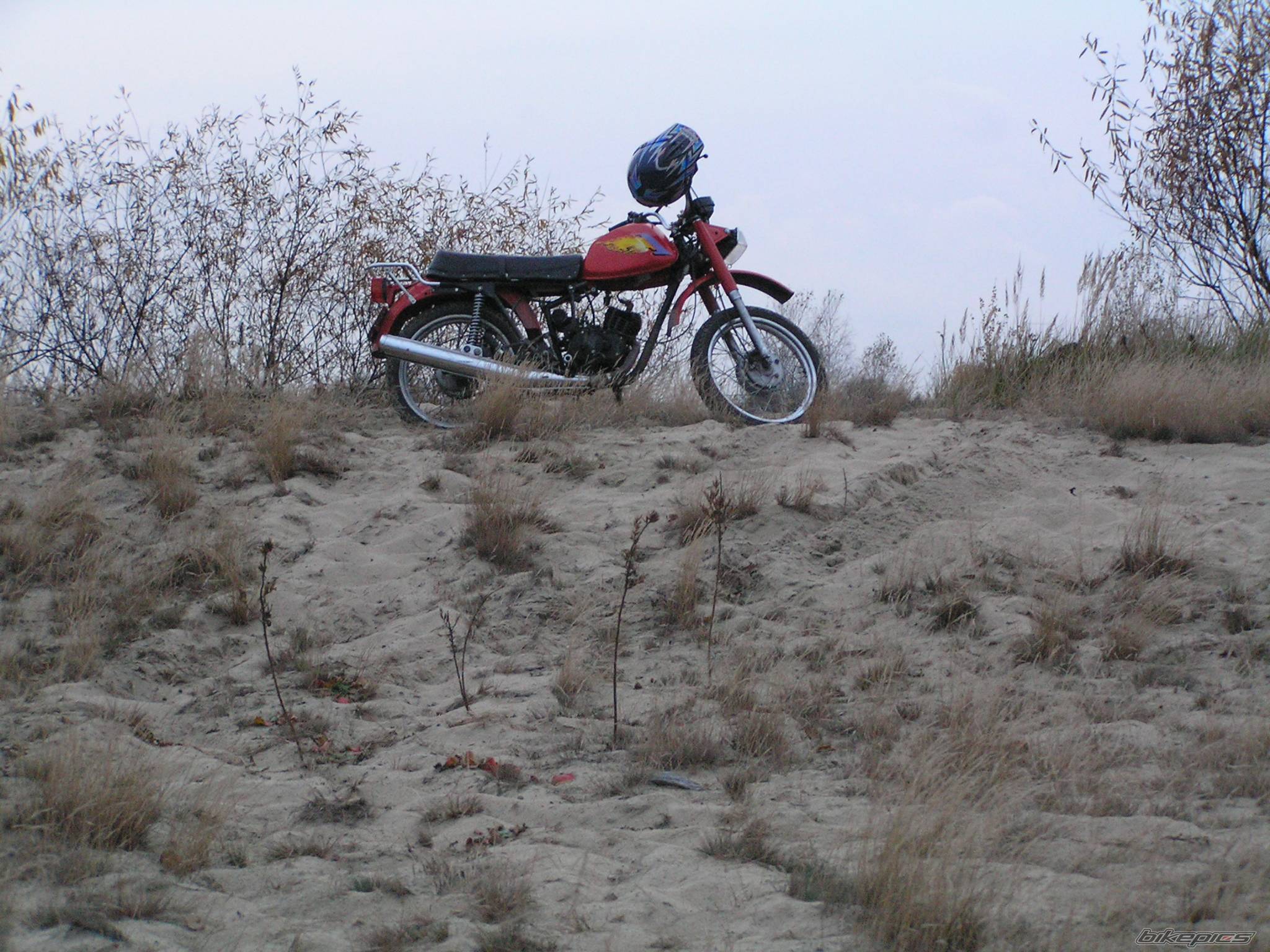 Photo 238815