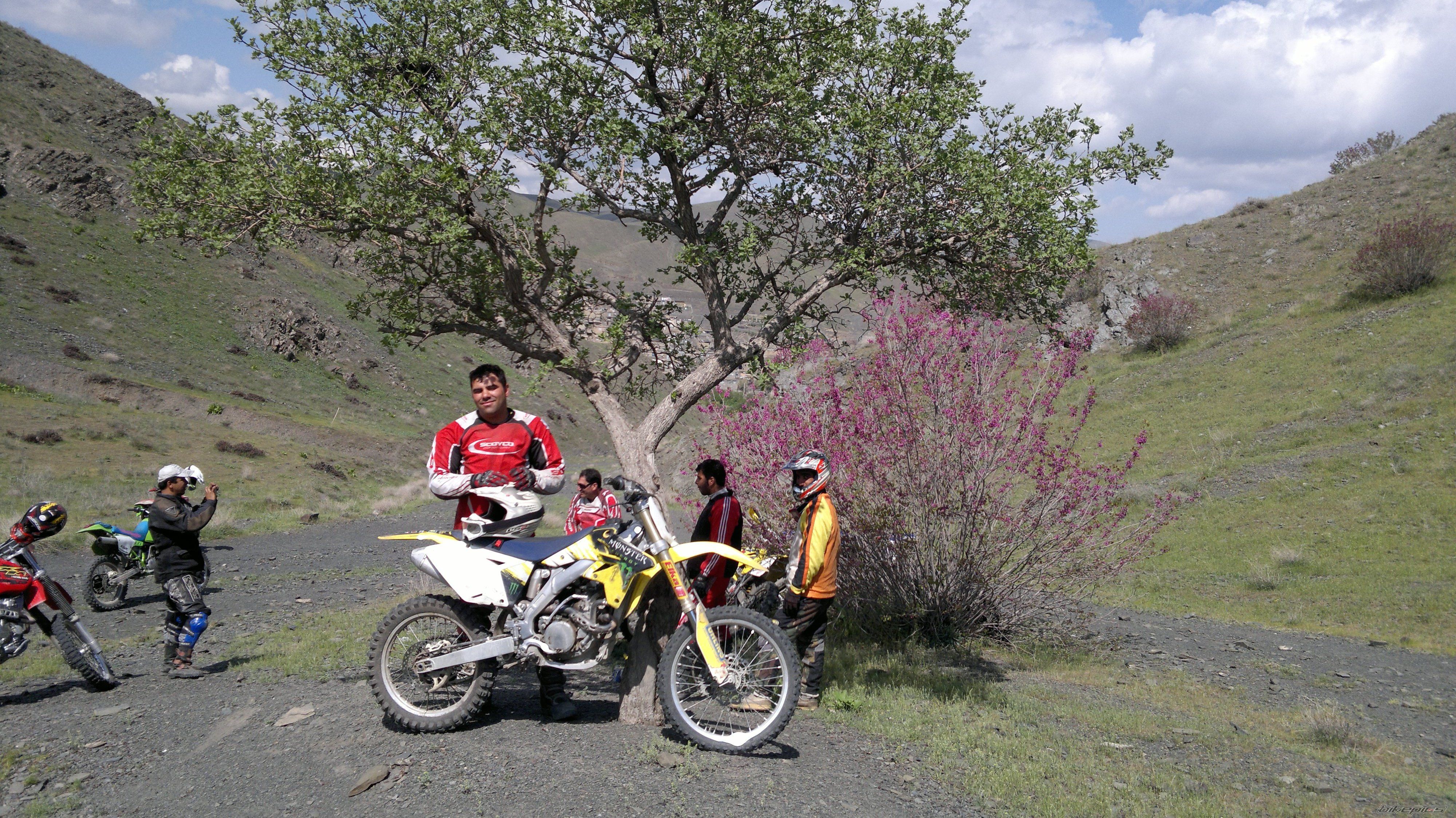 Photo 2388179