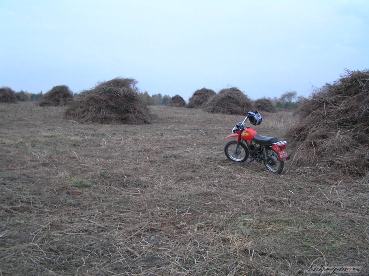 Photo 238818
