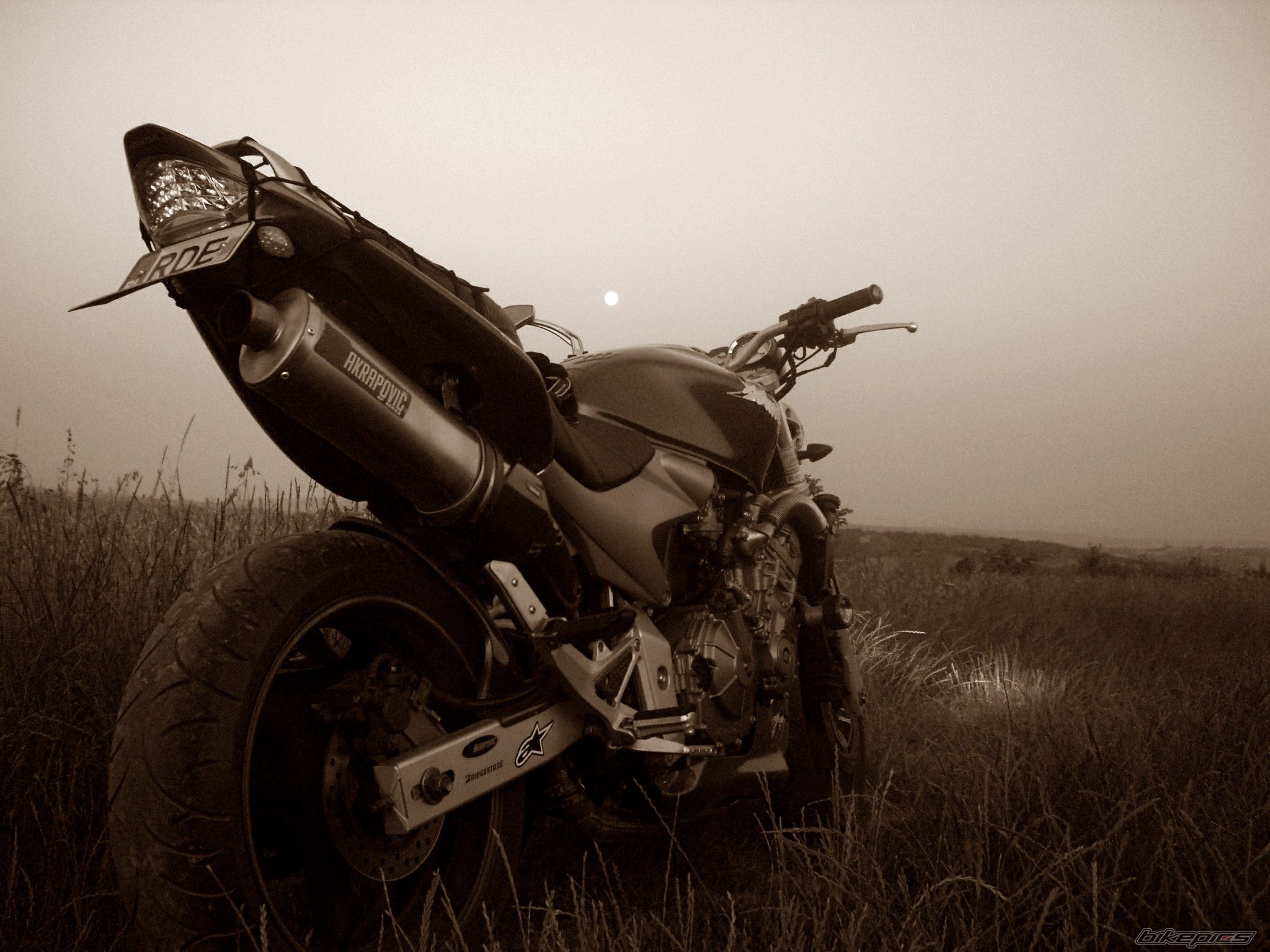 Photo 2388197