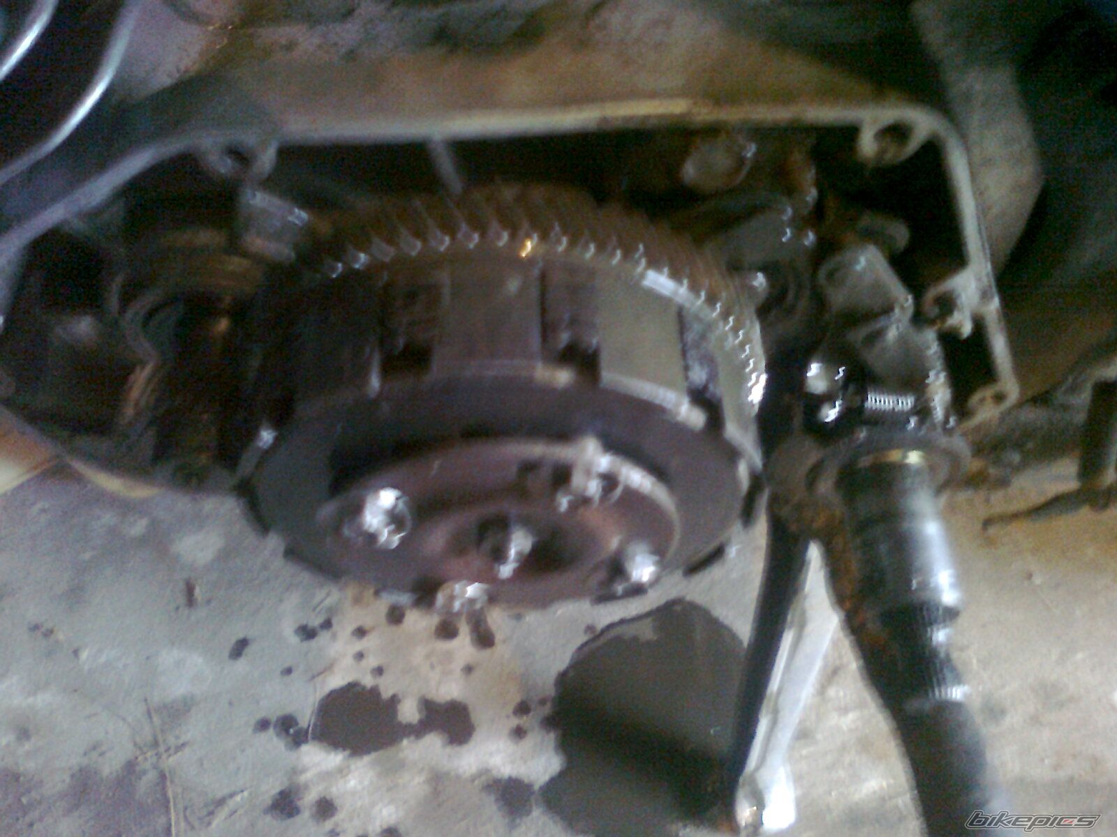 Photo 2388244