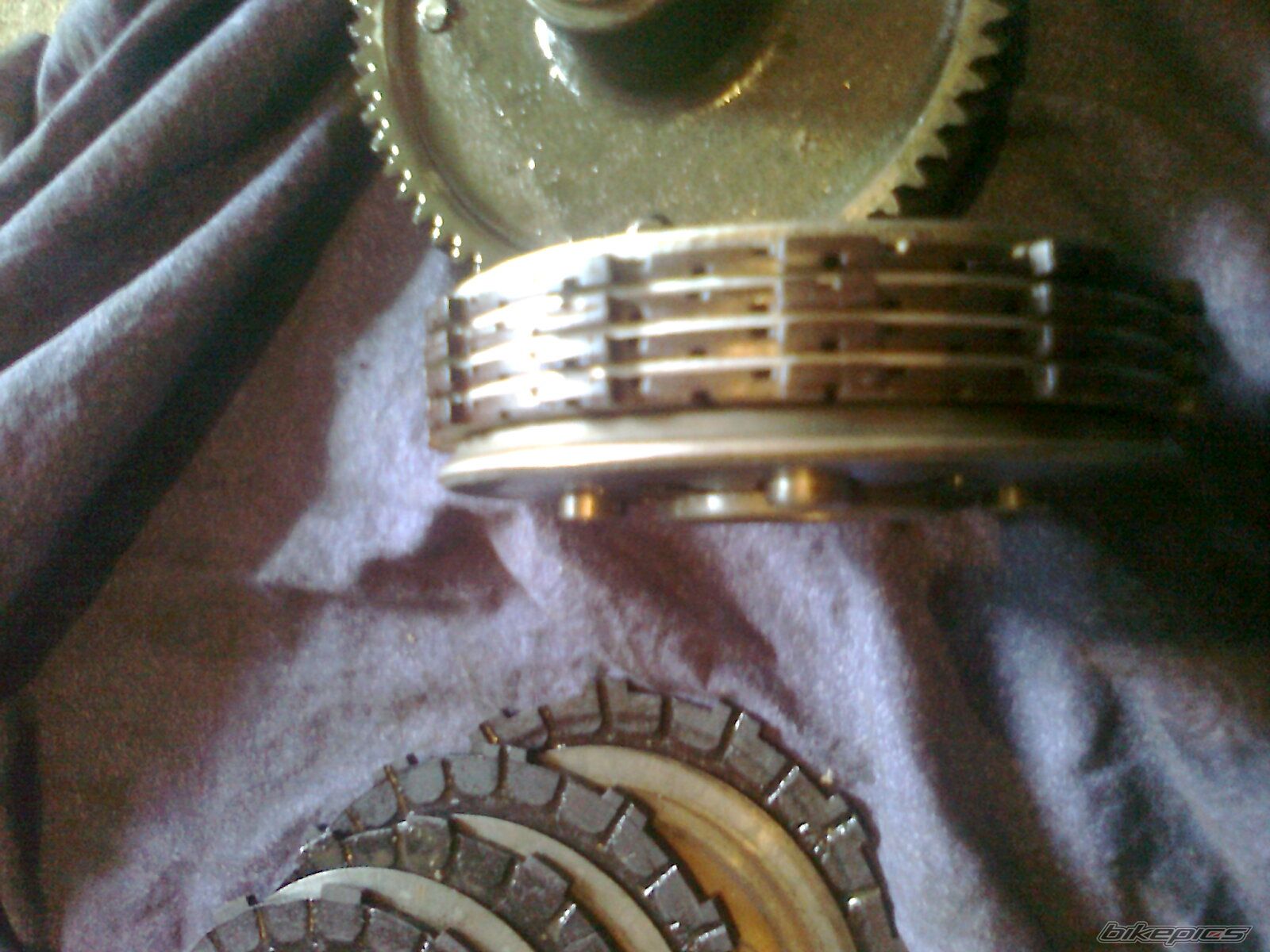 Photo 2388248