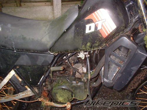 Bike Photo 2388258