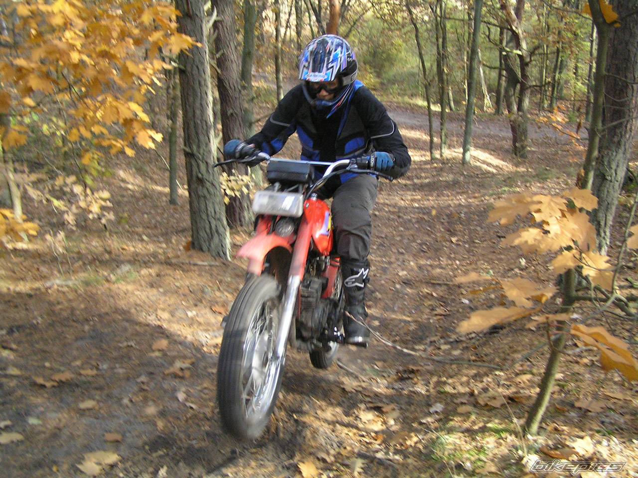 Photo 238827